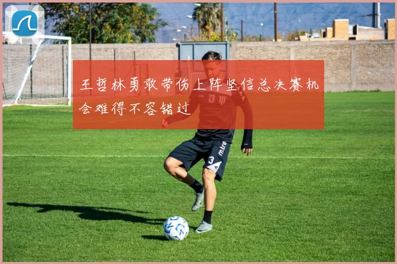 王哲林勇敢带伤上阵坚信总决赛机会难得不容错过